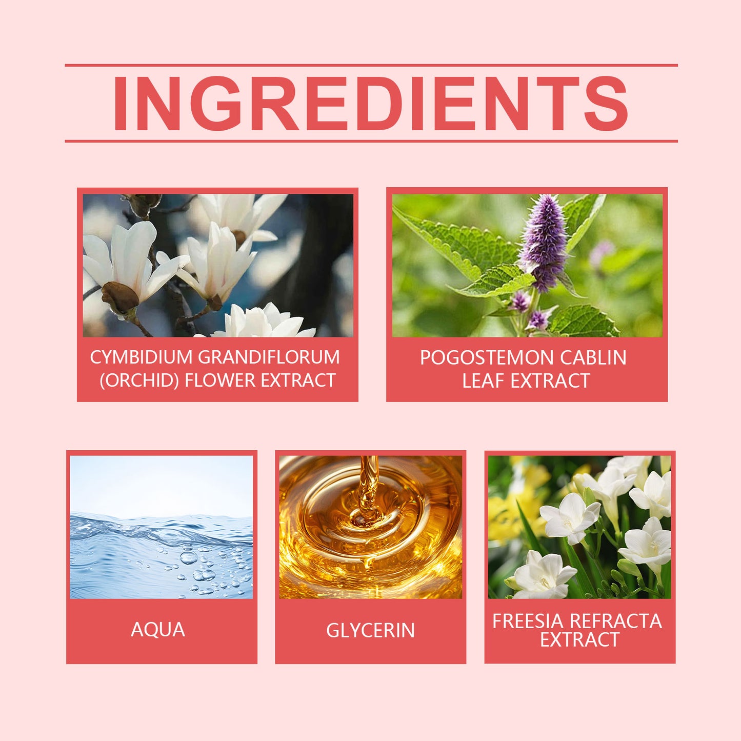 Roxelis Elegant Orchid Perfume Lasting Fragrance Natural Fresh Elegant Lasting Charming Daily Date Portable Perfume